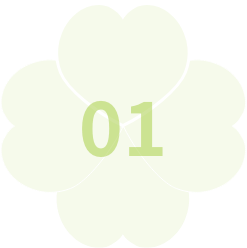 clover01
