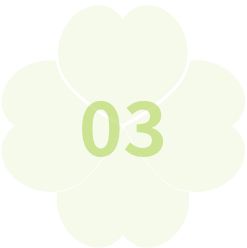 clover03